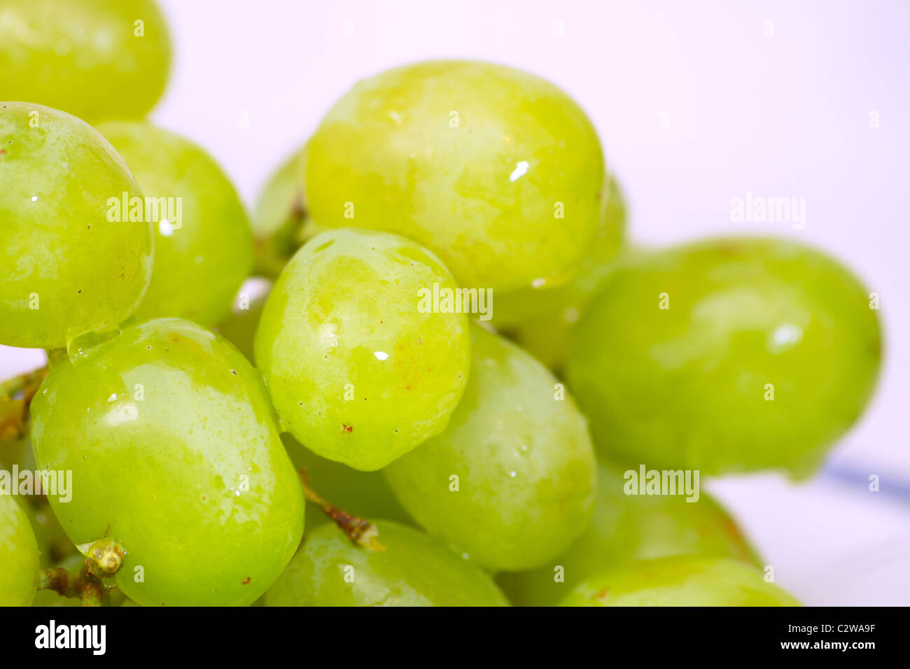 Cerca de uva de mesa blanca y húmeda Foto de stock
