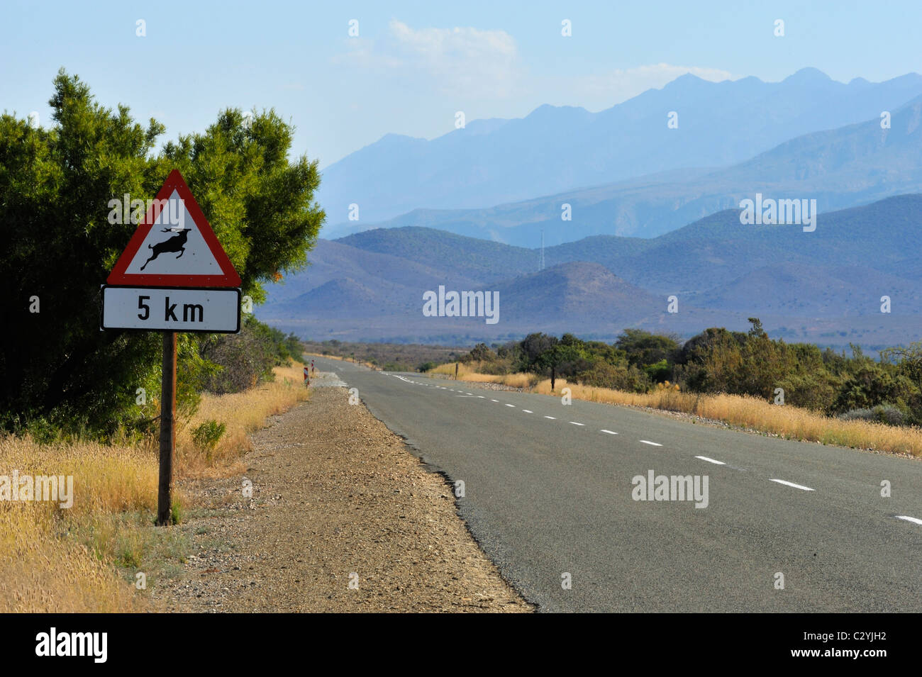 La ruta 341 hacia Oudtshoorn, Little Karoo, Sudáfrica Foto de stock