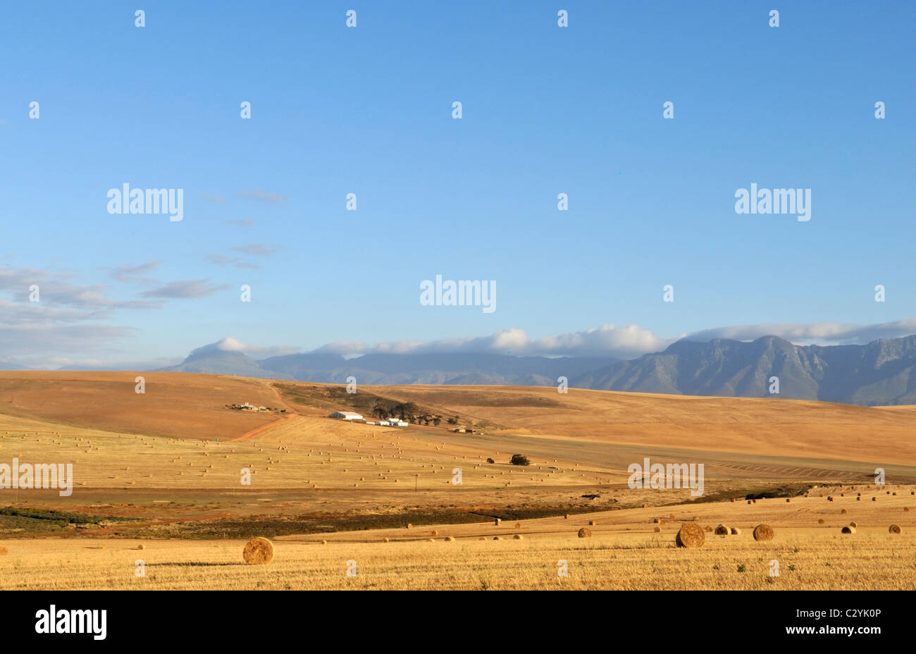 Alquería en colinas, montañas Riviersonderend como gota invertida, Western Cape, Sudáfrica Foto de stock