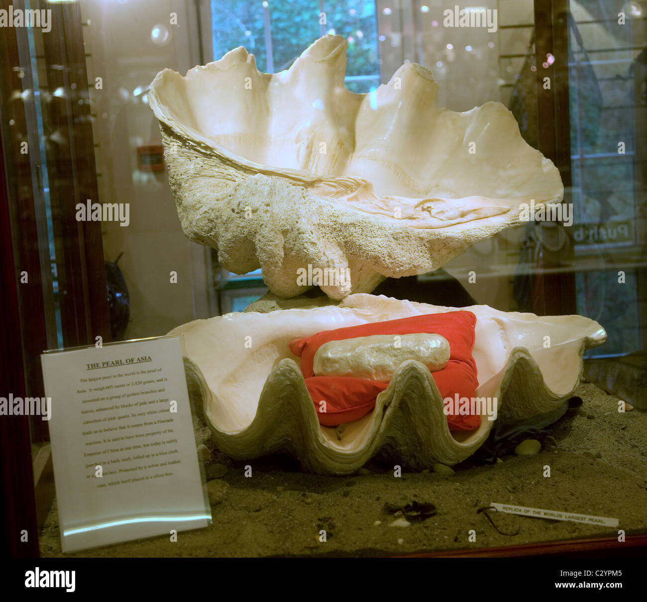 Perla gigante Guernsey, Islas del Canal de la Mancha- réplica de perlas la  perla de Asia Fotografía de stock - Alamy