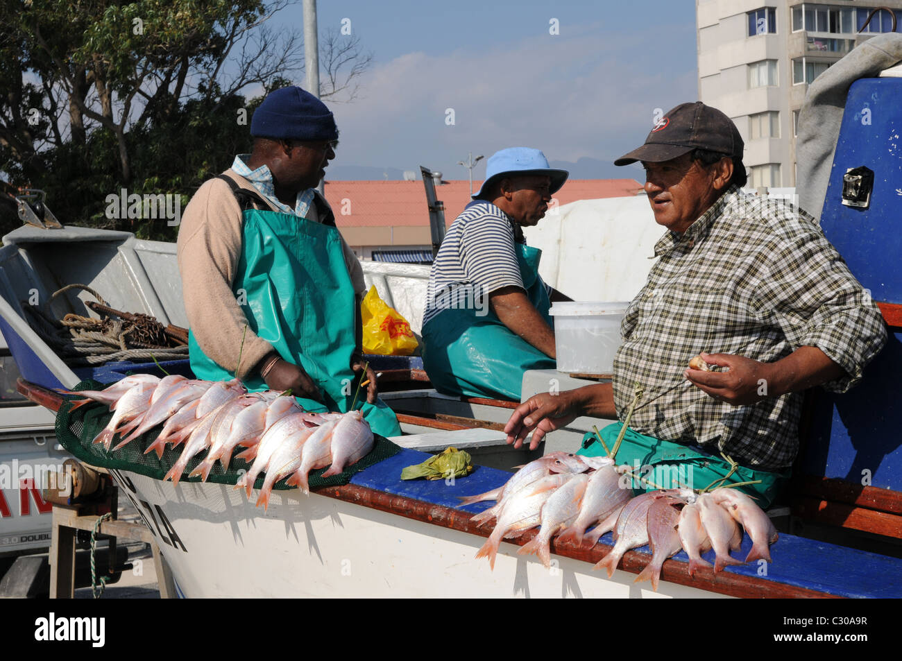 Varios pescadores, pescadores que venden pescado, pescado a la venta, en un barco, los pescadores comerciales Foto de stock