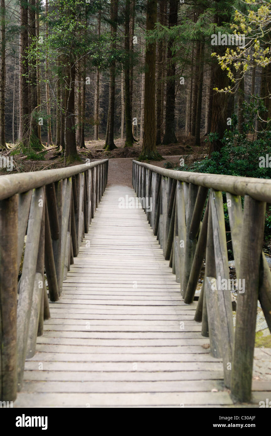 Puente de madera sobre el río Shimna, Irlanda del Norte, que se presenta en una escena de Juego de Tronos Foto de stock