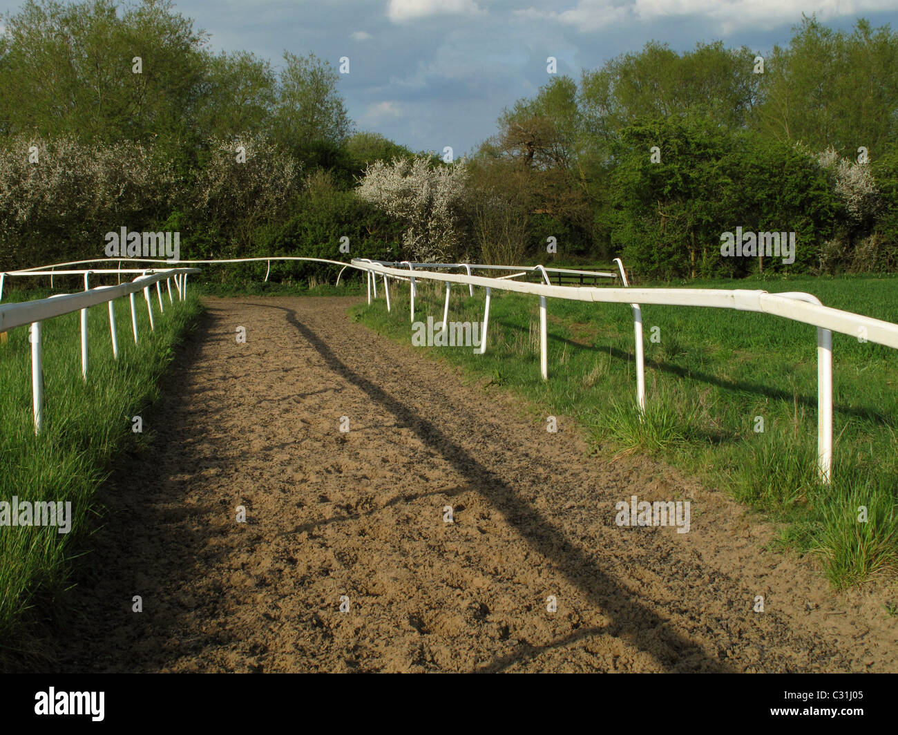 Caballo de carreras formación galope, Warwickshire, Inglaterra Foto de stock