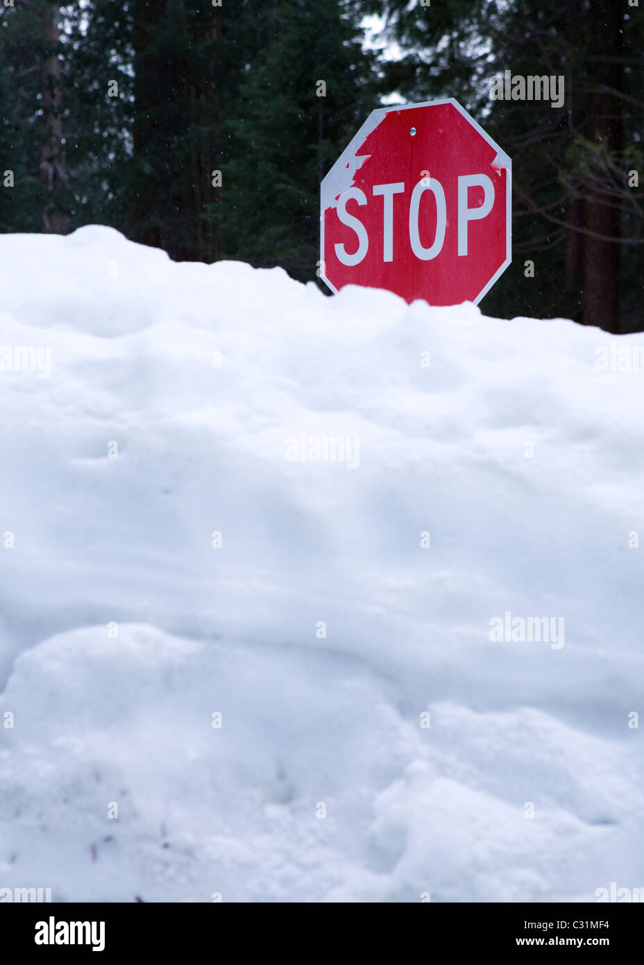 Señal de Stop enterrada bajo la nieve profunda Foto de stock