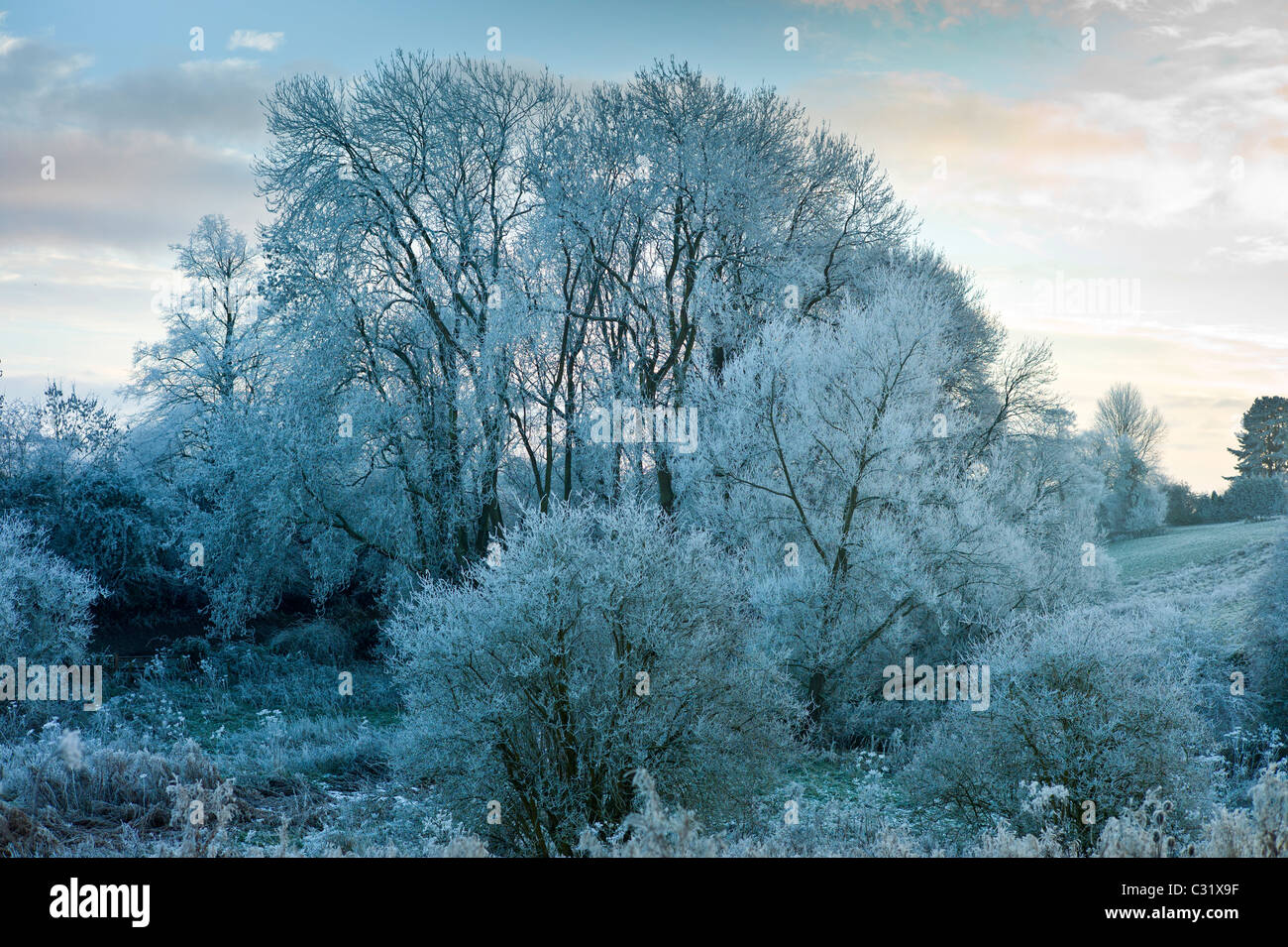 Escena de Invierno helada hoar en Cotswolds, REINO UNIDO Foto de stock