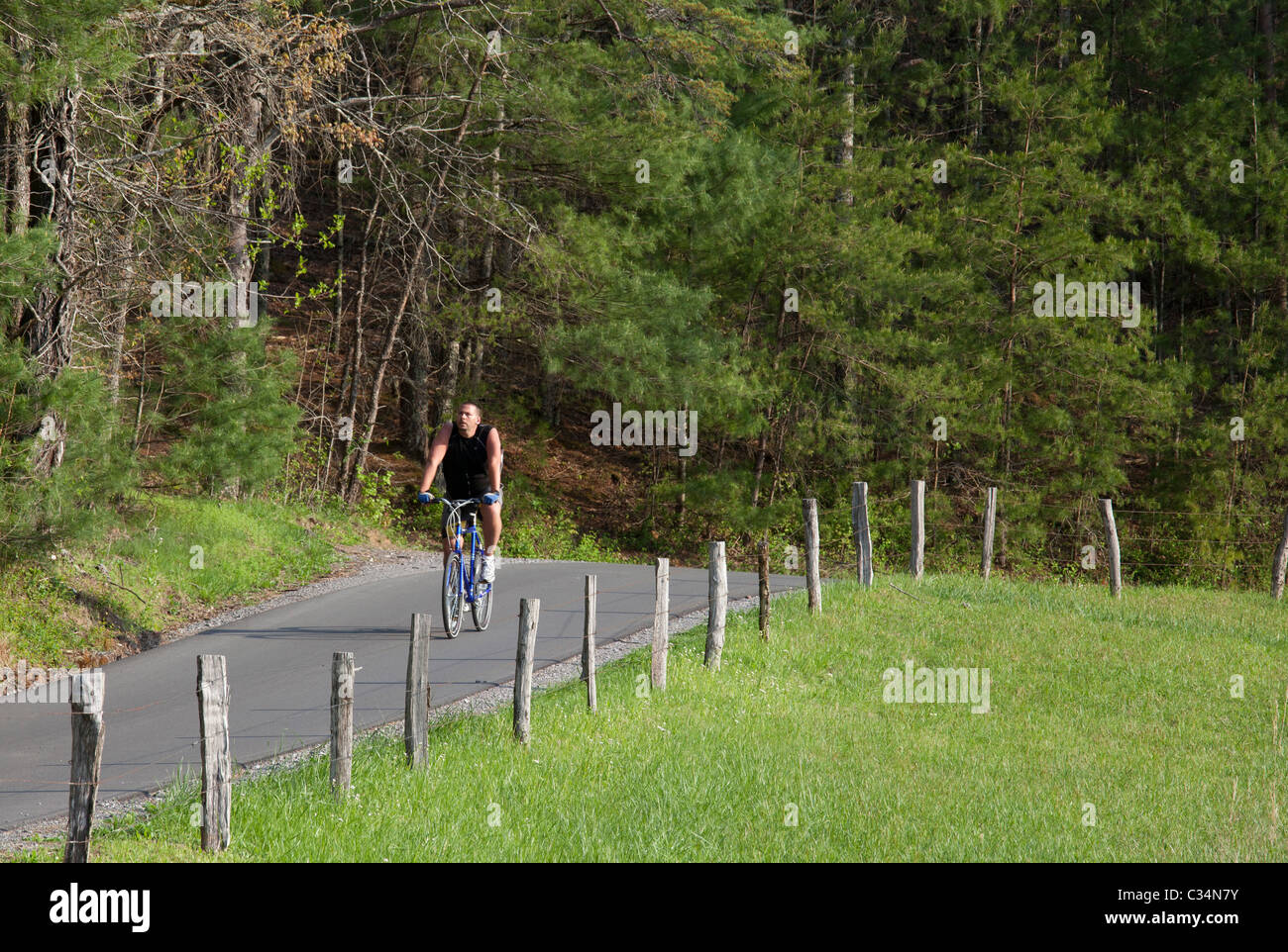 Great Smoky Mountains National Park, Tennessee - ciclista en una carretera en Cades Cove. Foto de stock