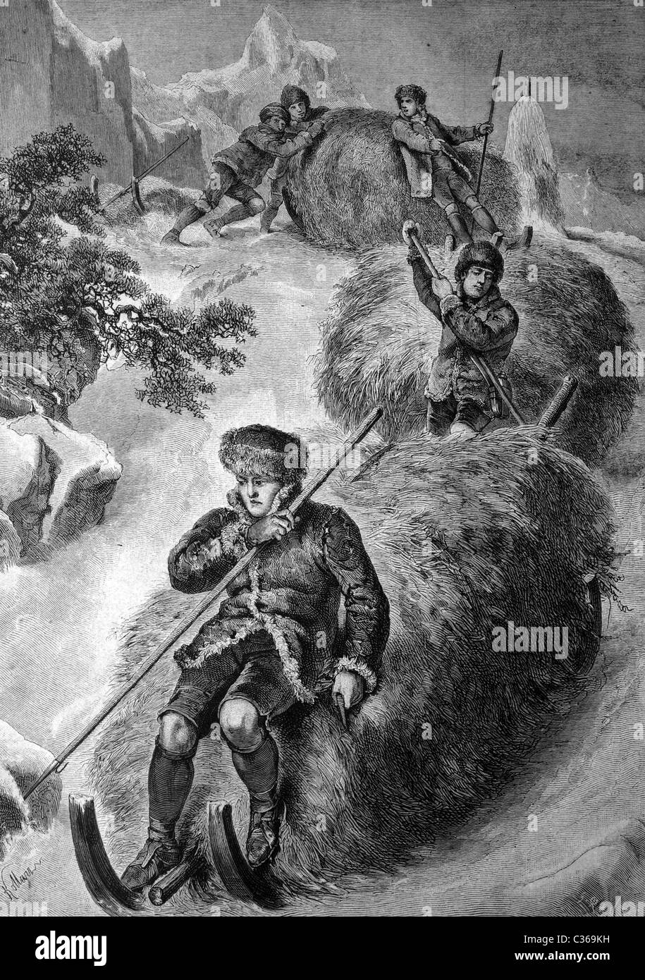 Cosechar heno después de las primeras nevadas en Austria, imagen histórica 1886 Foto de stock