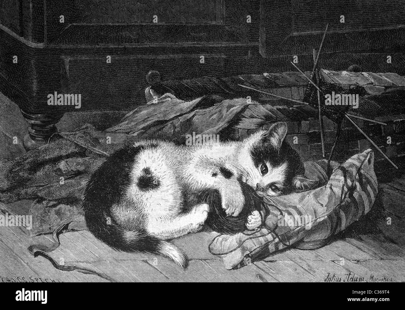 Sleeping cat, imagen histórica 1886 Foto de stock