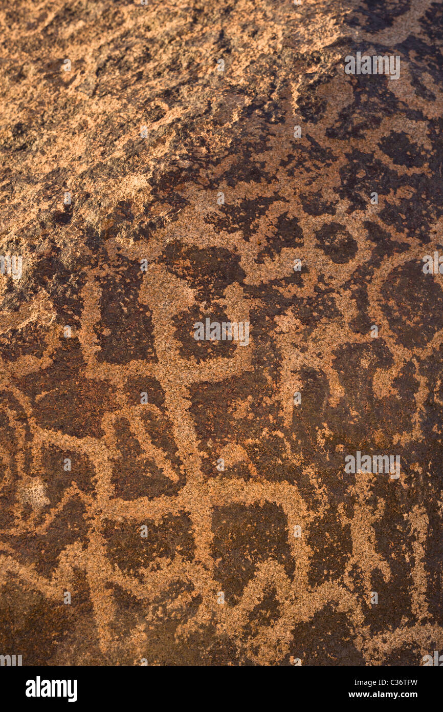 El antiguo arte rupestre, anthropomorphs y lagartos, en el sitio de petroglifos de Piedras Pintadas cerca de Gila Bend, Arizona, EE.UU. Foto de stock
