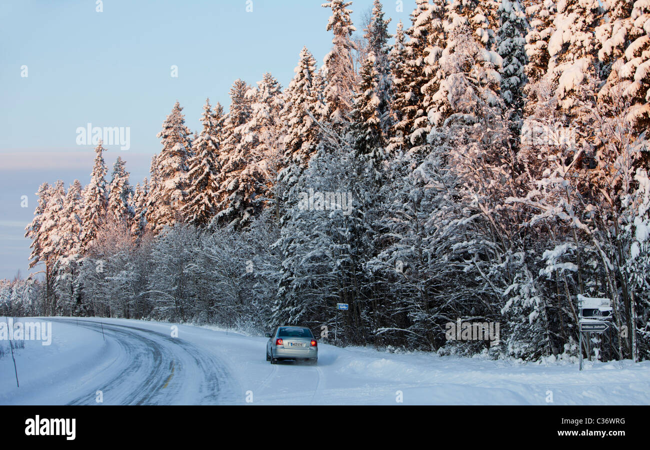 Vista de la carretera rural finlandesa y de los árboles de picea cubiertos de nieve ( Picea Abies ) en el bosque de taiga , Finlandia Foto de stock