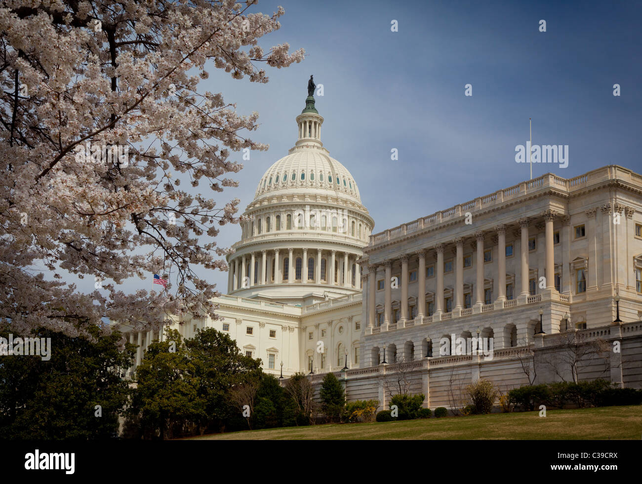 El Capitolio de los Estados Unidos al final del National Mall en Washington, D.C. Foto de stock