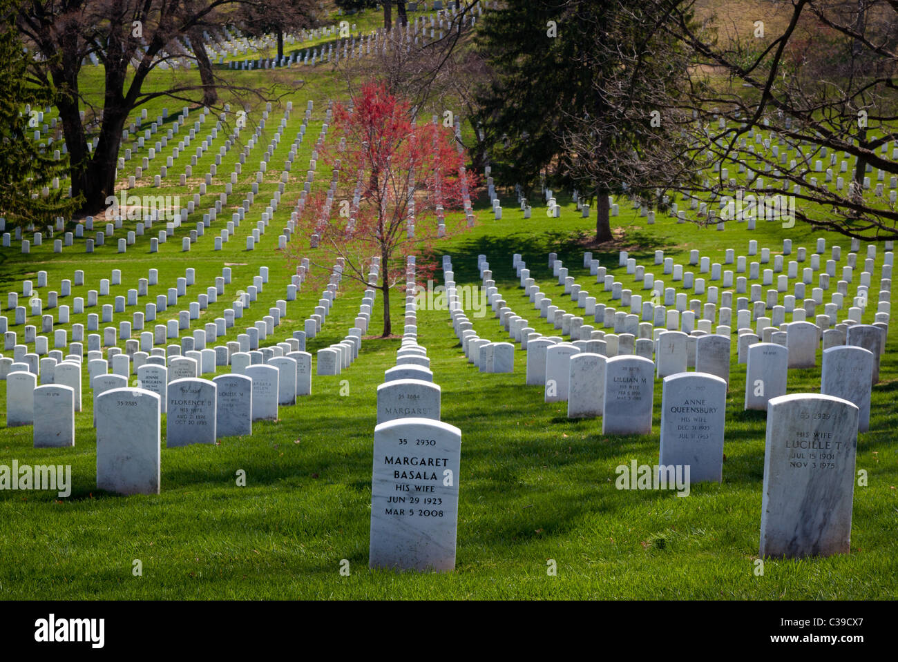 El Cementerio Nacional de Arlington en Arlington, Virginia Foto de stock