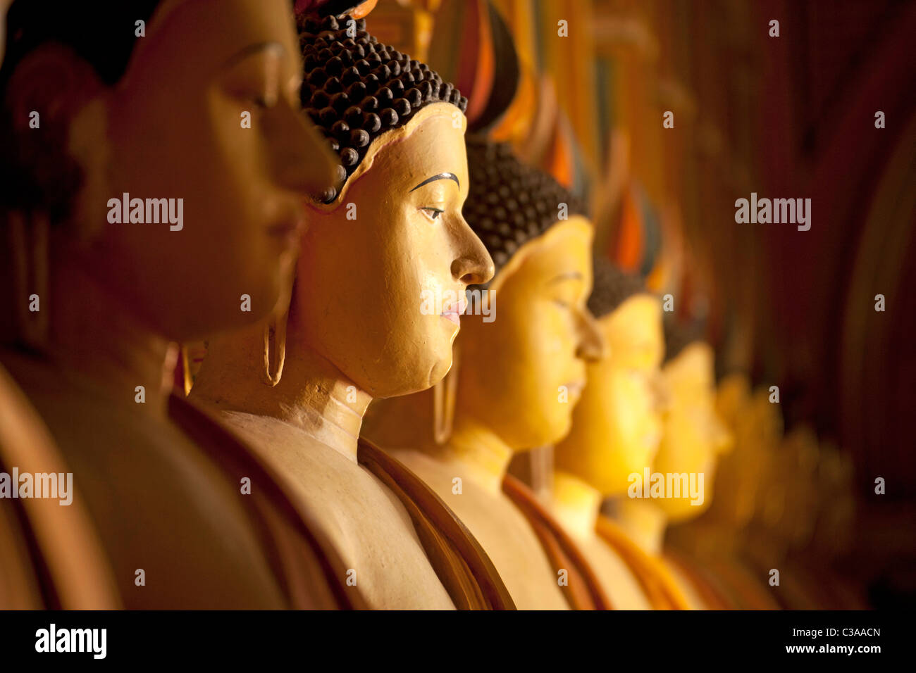 Grupo de estatuas de Buda en una fila dentro del templo, cerca Dikwella Wewurukannala Vihara, Pussalagoda, Sri Lanka, Walasgala Foto de stock