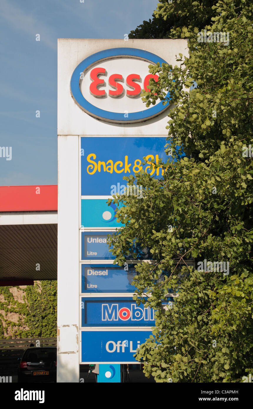 Un signo de Esso con el ridículo precio de los combustibles (en mayo de 2011) cubierto por un árbol fuera una gasolinera en Hounslow, Middx, Reino Unido. Foto de stock