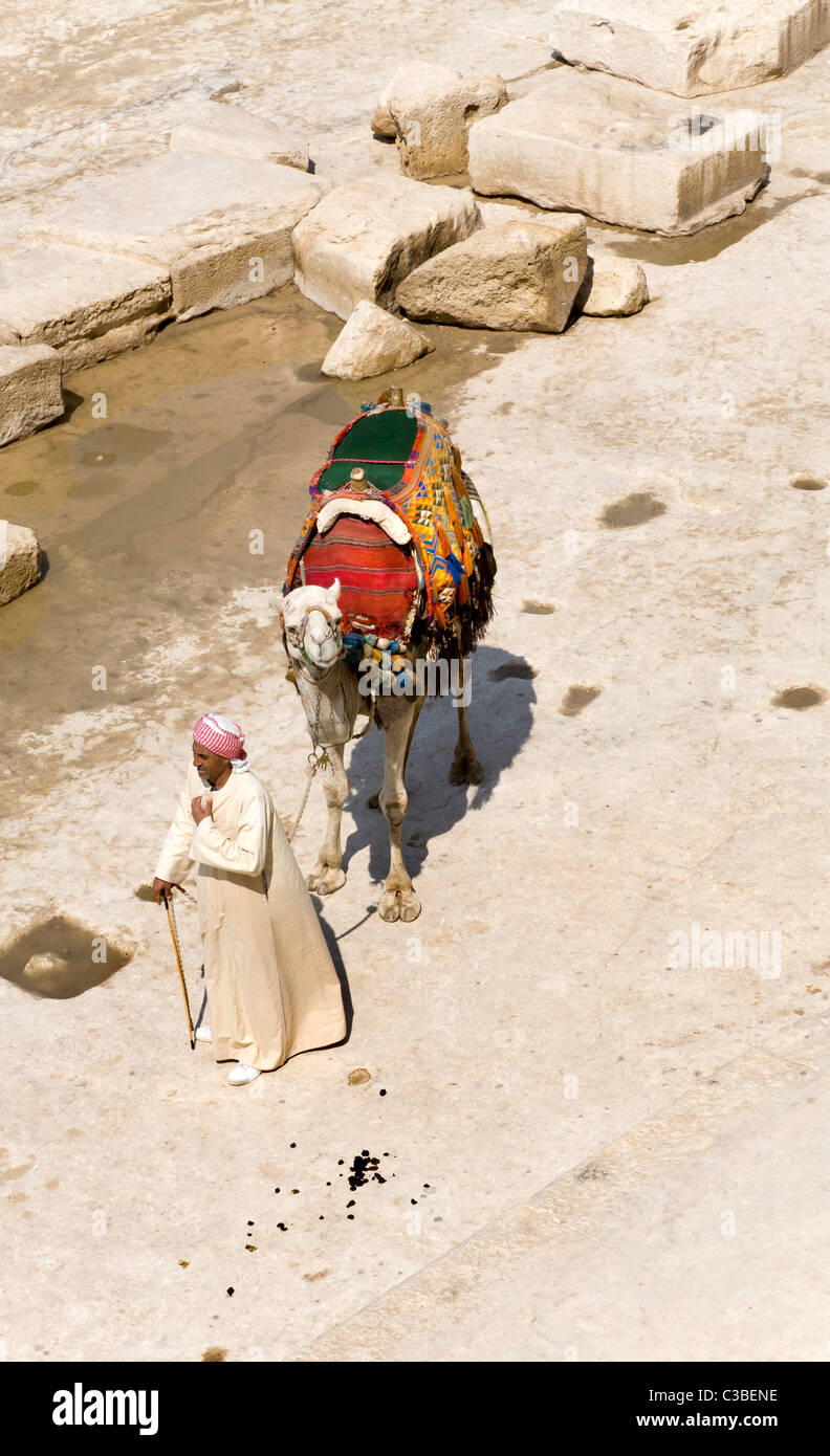 Un hombre local con su camello en las pirámides de Giza, QUE SE ALQUILA PARA LOS PASEOS A LOS TURISTAS Foto de stock