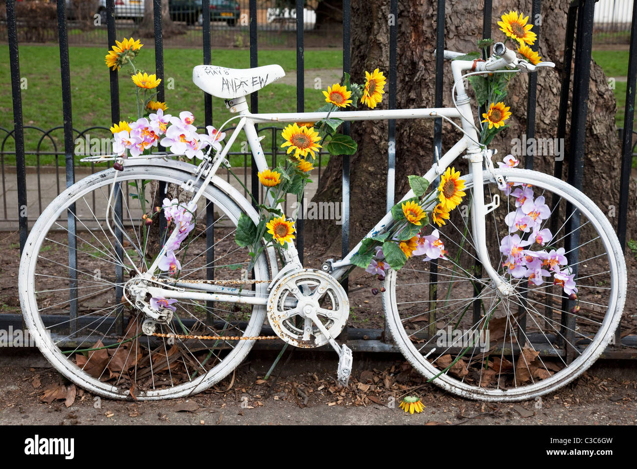 ghost vs haibike