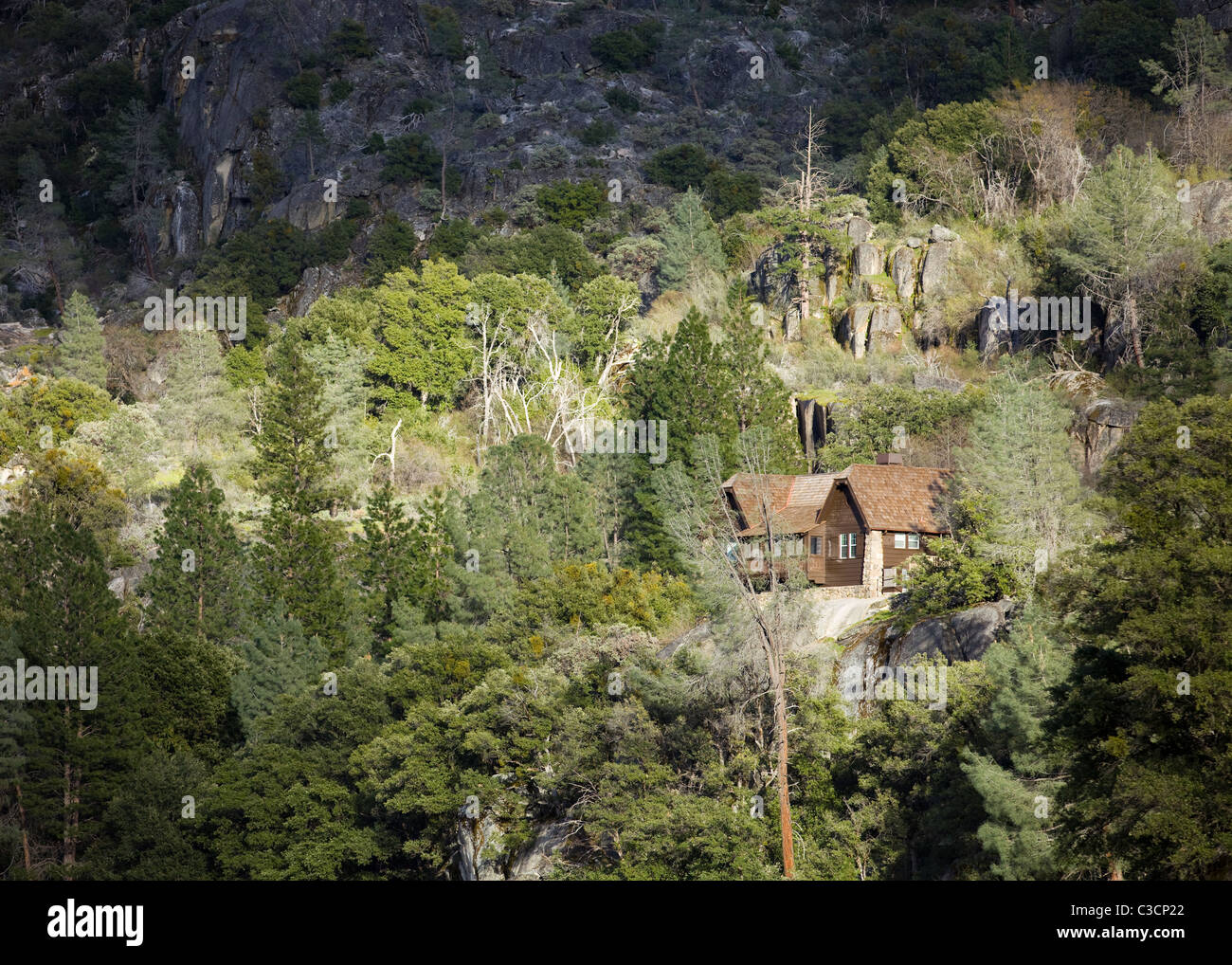 Una casa en el bosque - Sierra Nevadas, California, EE.UU. Foto de stock