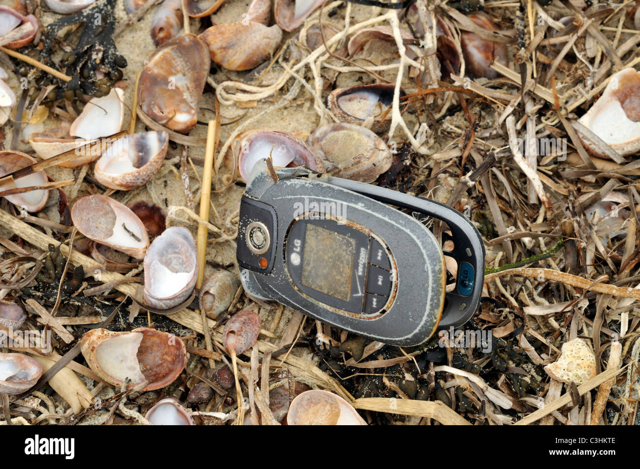Descartan móvil varada en una playa de arena de Cape Cod con conchas marinas. Foto de stock