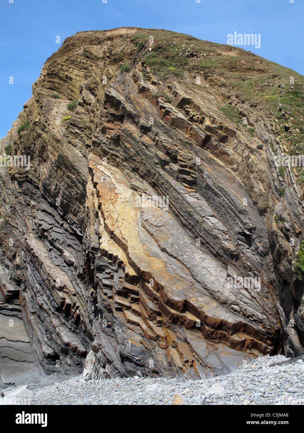 Inclinado retorcidos y estratos de arenisca se muestra en los acantilados de Sandymouth Bay, al norte de Cornwall. Foto de stock