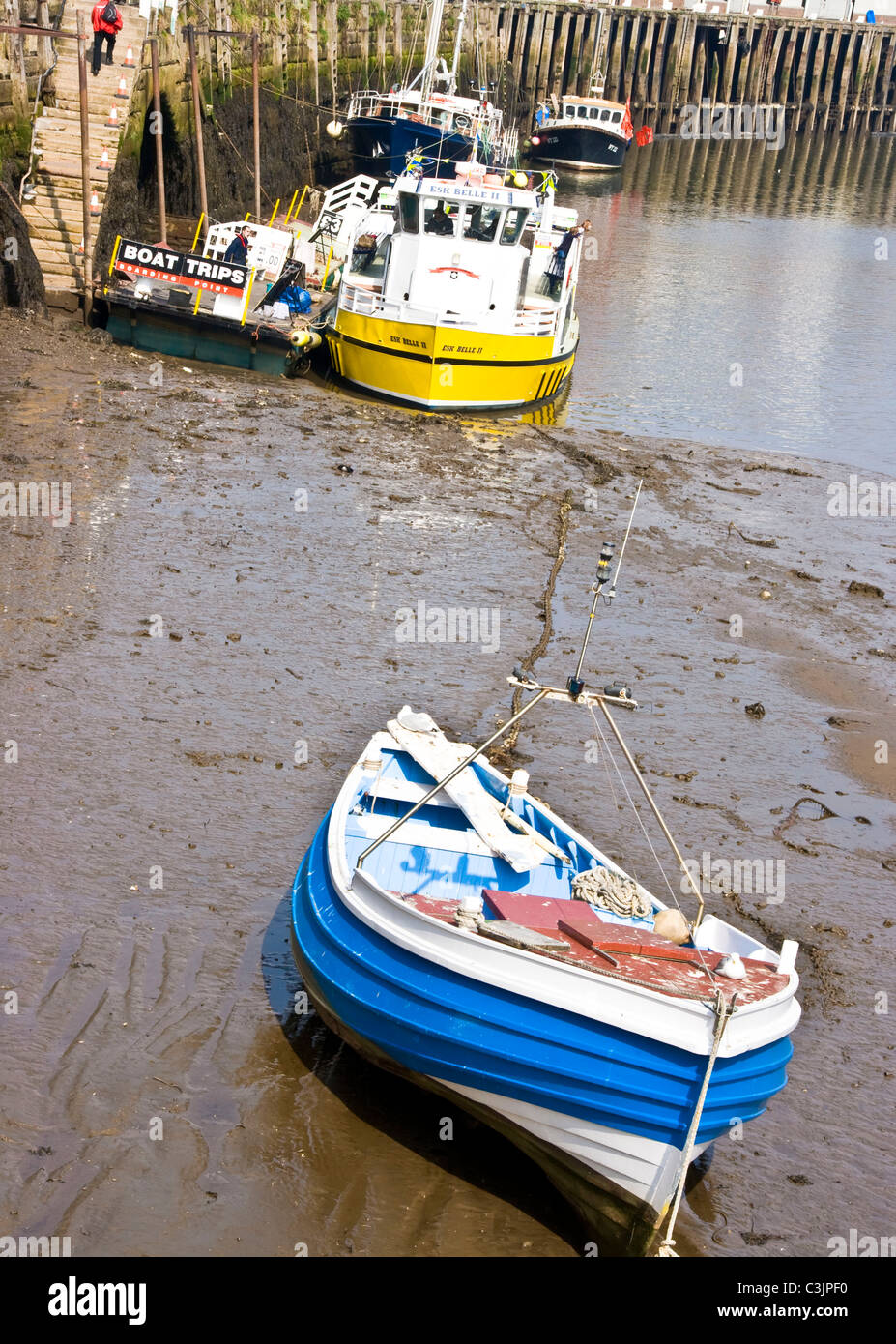 Pesca y barcos turísticos en marea baja en Whitby Harbour North Yorkshire Inglaterra Europa Foto de stock