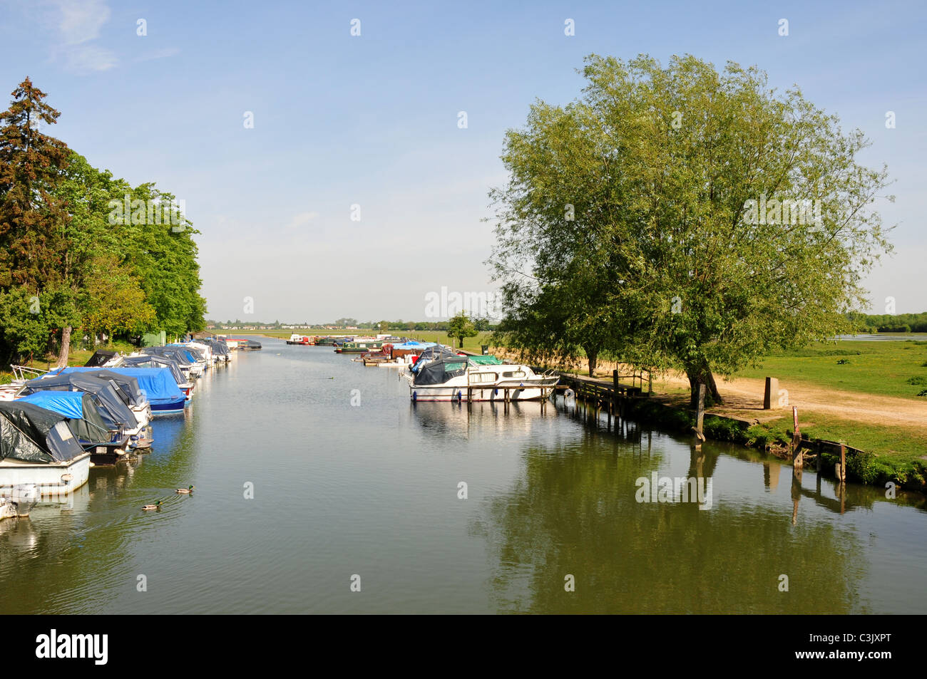 Río Támesis fluyendo por puerto Meadow, Oxford, Oxfordshire Foto de stock
