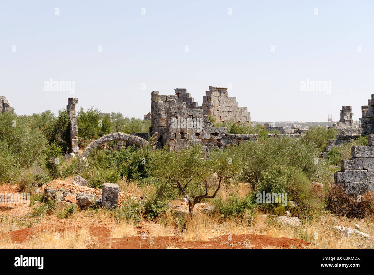 Entre huertos y olivares son los restos de la piedra extensa ciudad muerta bizantino de Bara en el noreste de Siria. Foto de stock