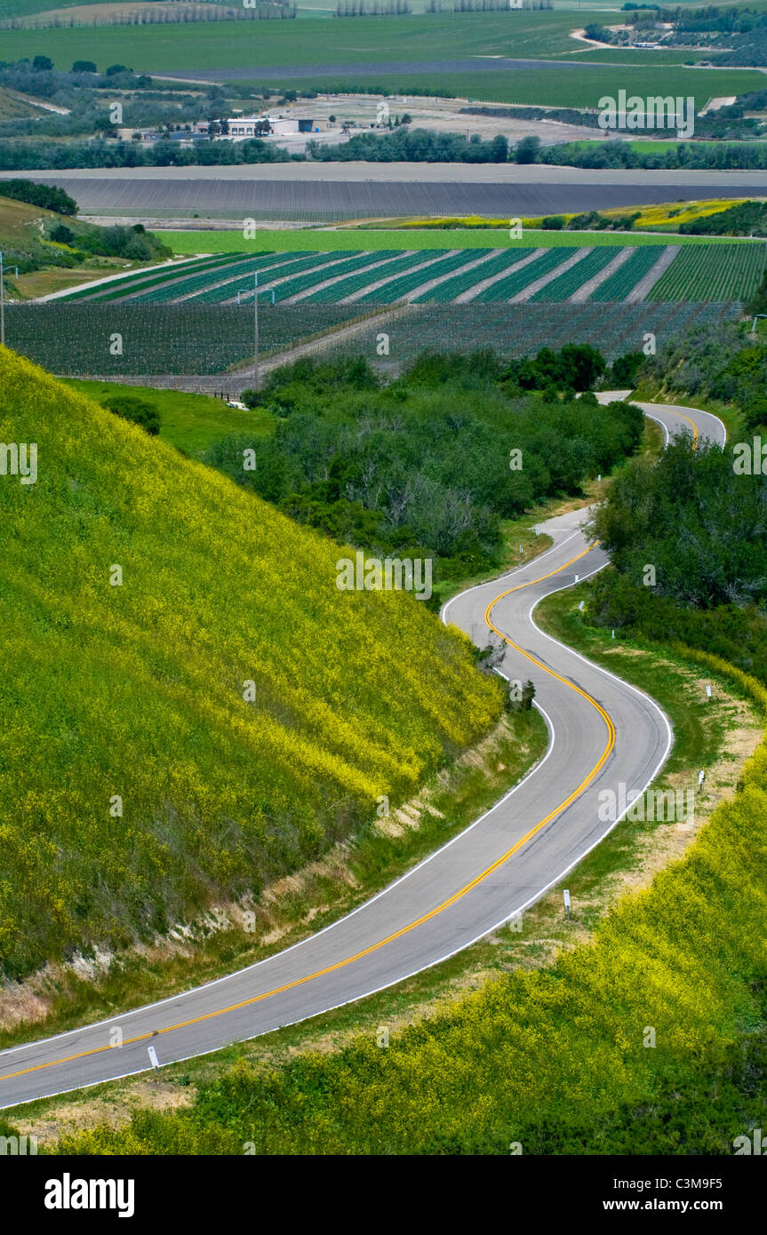 País por carretera de curvas a través de colinas verdes y agricultura valle es primavera, cerca de Lompoc, Condado de Santa Bárbara, California Foto de stock