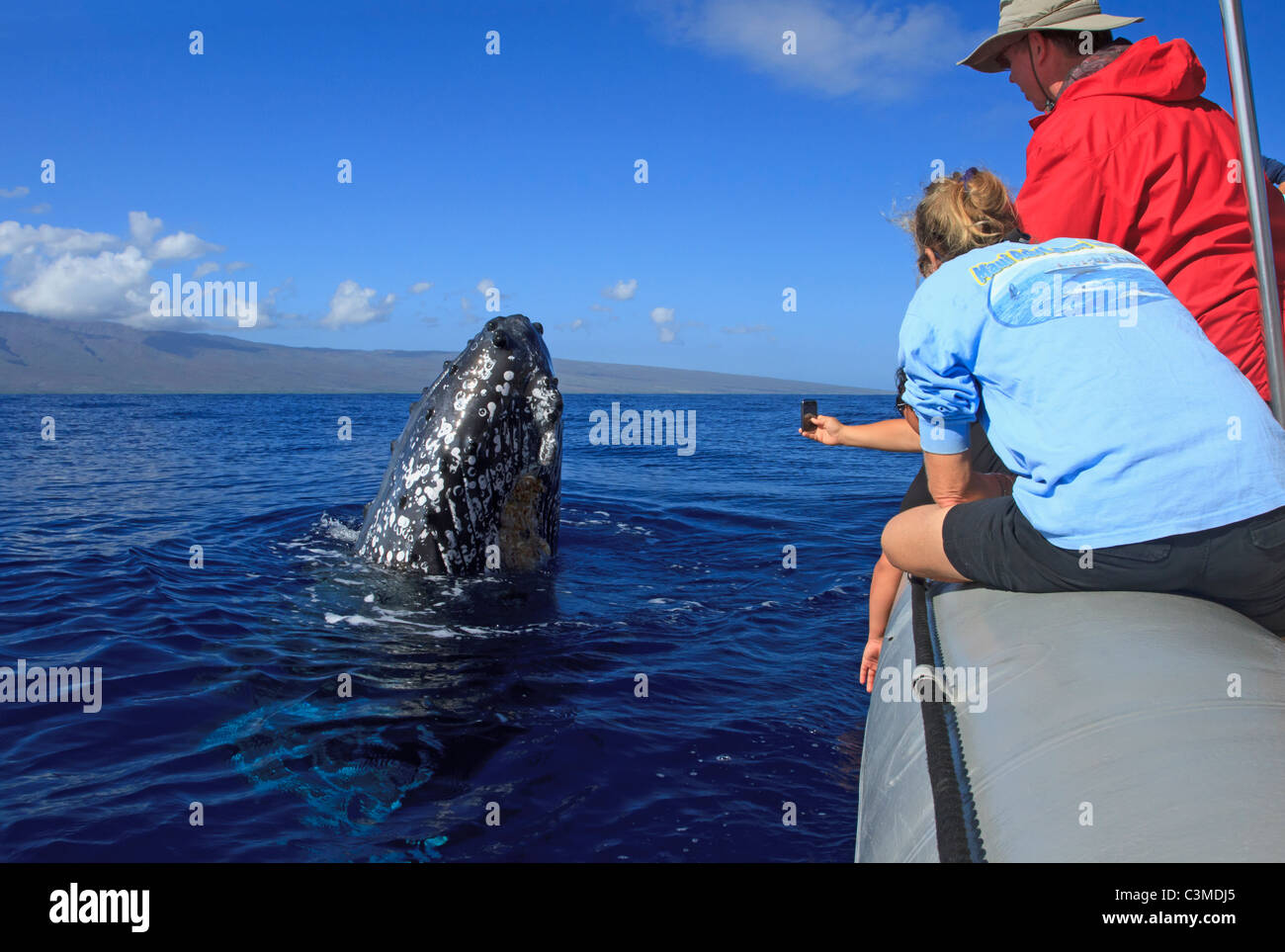 la-ballena-jorobada-llega-a-mirar-a-la-gente-en-un-barco-maui-hawaii-c3mdj5.jpg