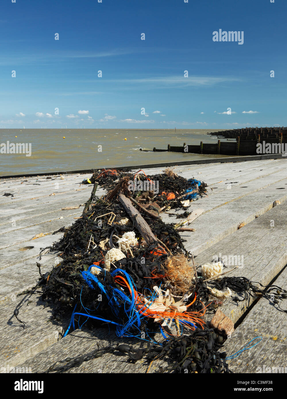 Las algas y basura depositada en marea alta. Foto de stock