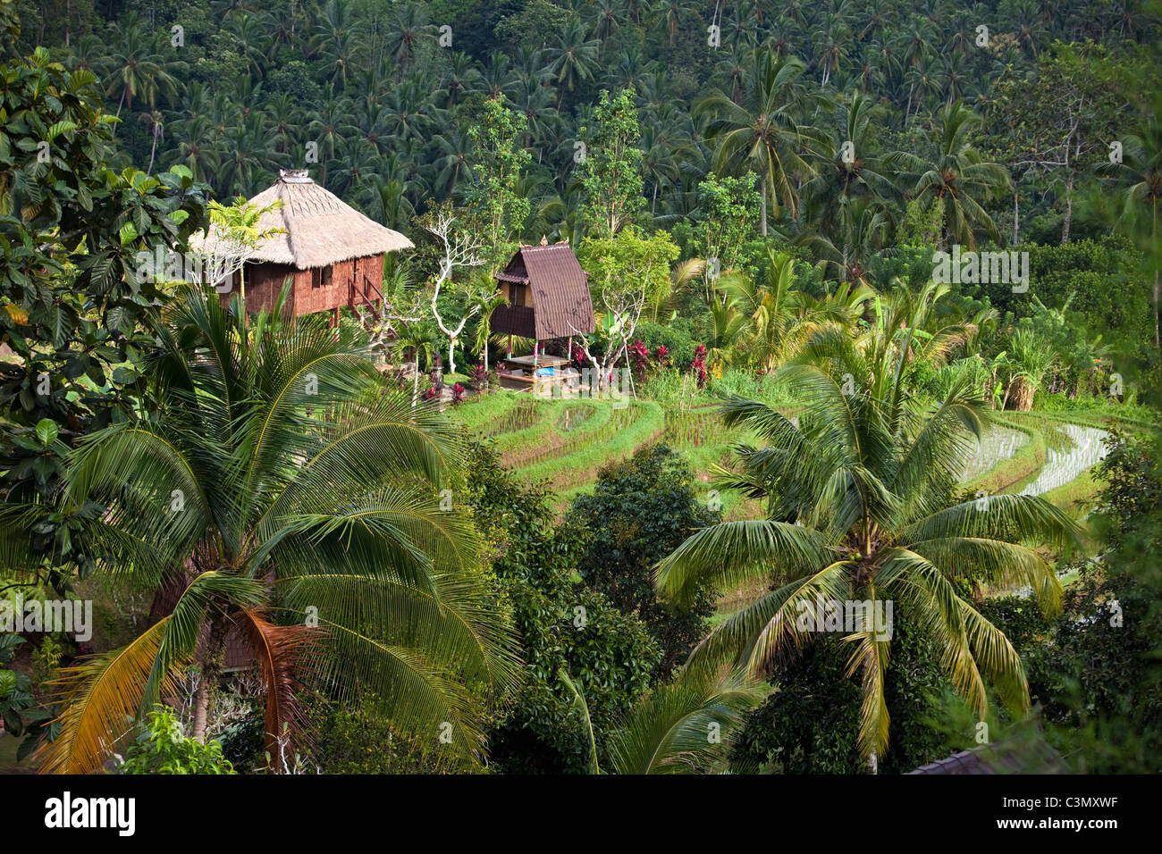 Indonesia, en la isla de Bali, o Belimbing Blimbing, Kedun Resort. Foto de stock