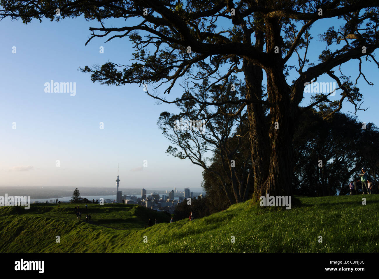 Incluyendo skyline de Auckland sky tower vista desde Mt Eden, el mayor punto natural en Auckland. Foto de stock