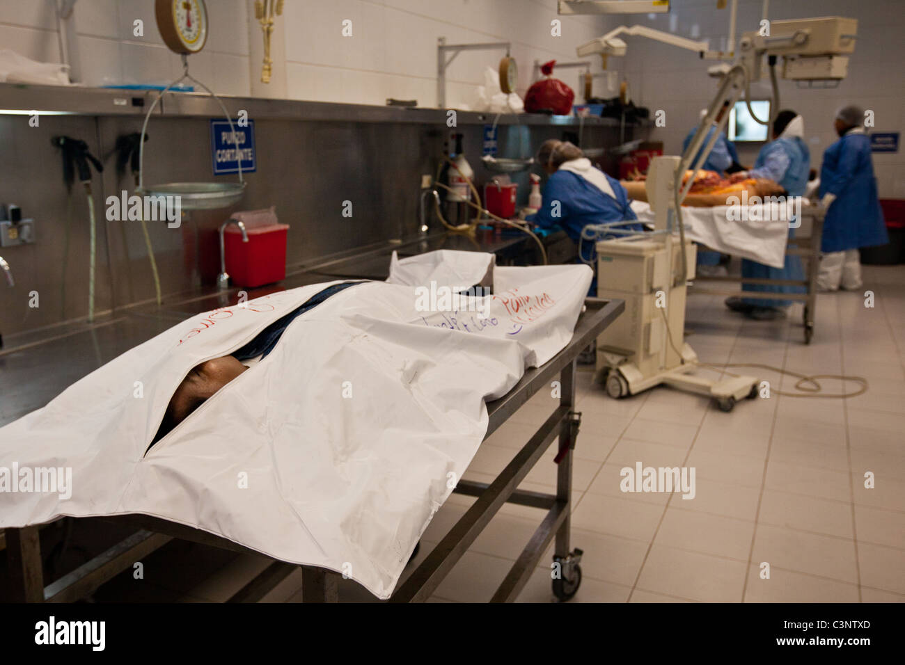 Autopsia autopsia fotografías e imágenes de alta resolución Página 3 Alamy
