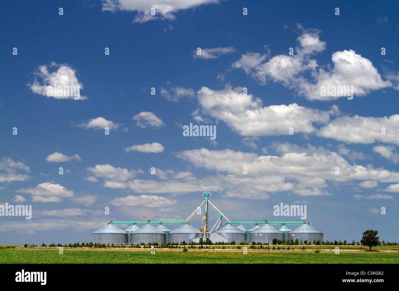 Silo de cereales y de tierras de cultivo en las pampas de Argentina. Foto de stock