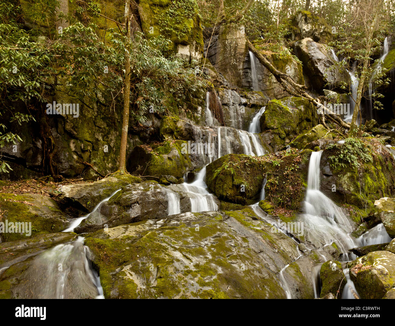 Cascada en el lugar de un millar de perfusiones cerca de Gatlinburg en Smoky Mountains Foto de stock