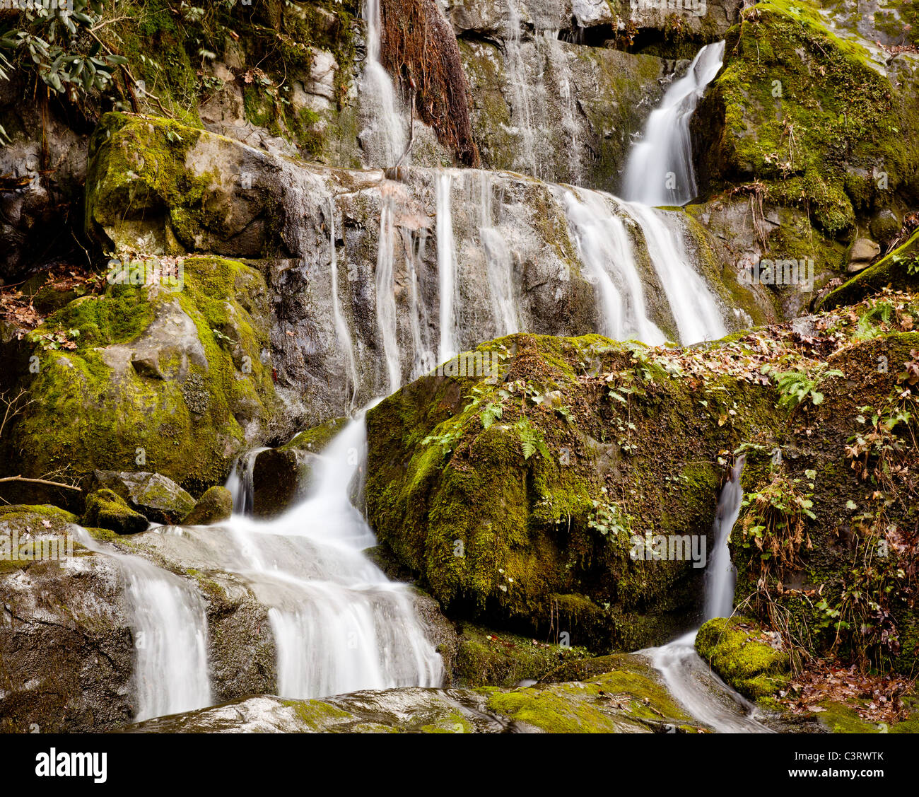 Cascada en el lugar de un millar de perfusiones cerca de Gatlinburg en Smoky Mountains Foto de stock