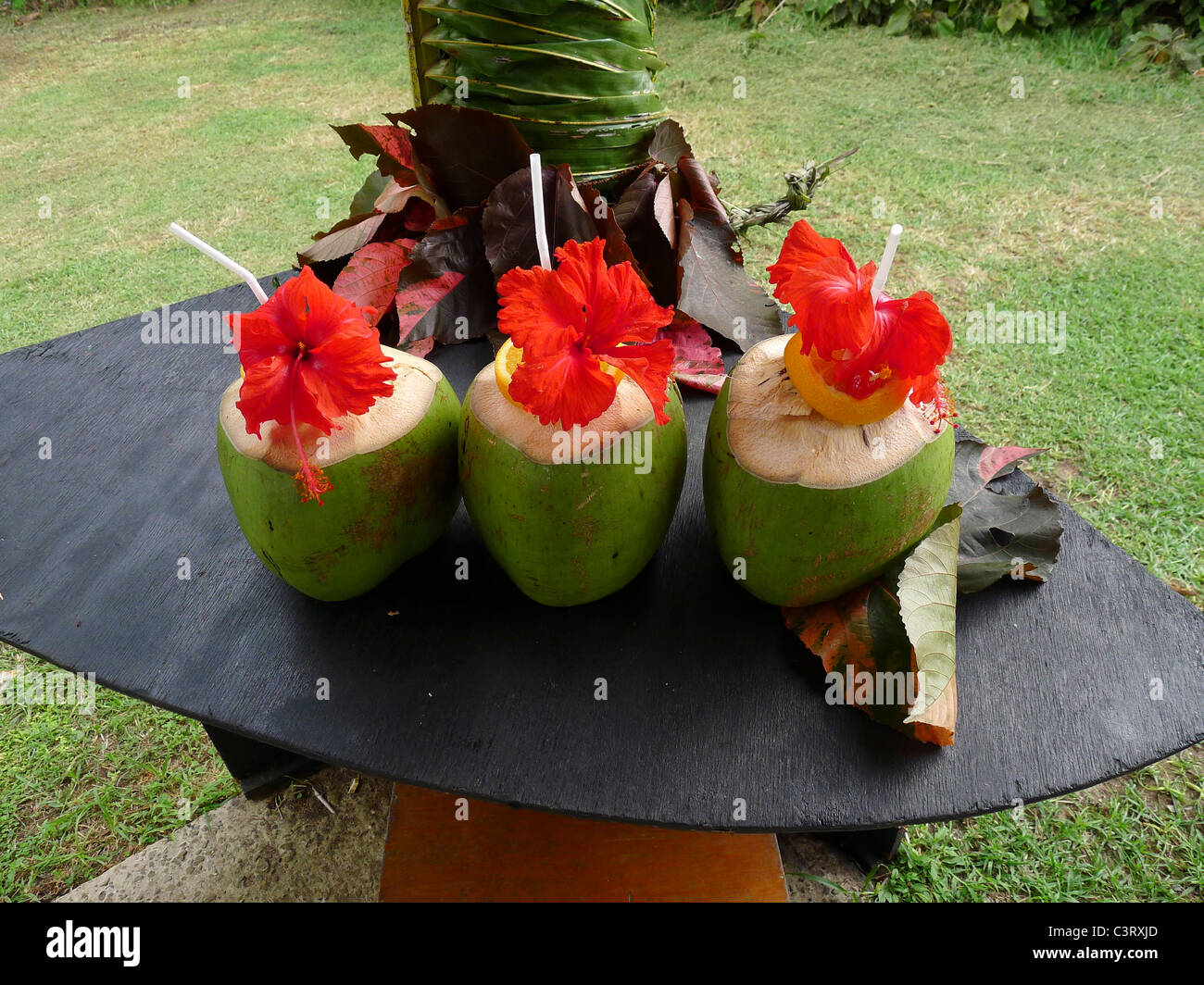 Bebidas de coco, Yasawa Island Resort and Spa, Islas Yasawa, Fiji Foto de stock