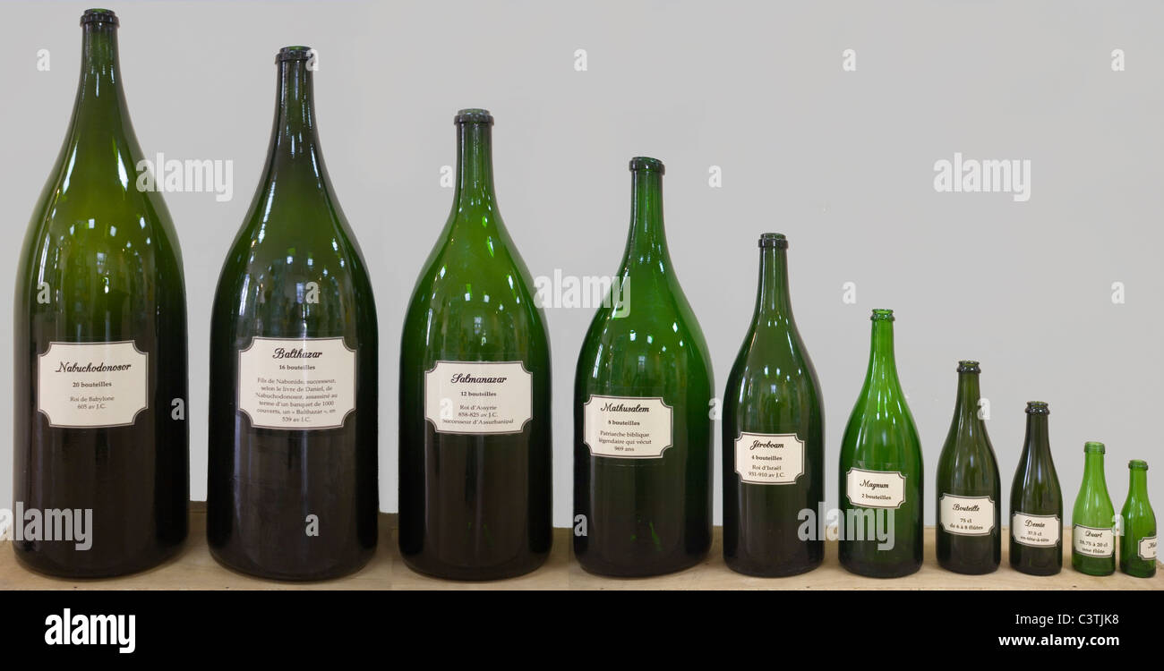 Francia Marne Épernay diez tamaños de botella de champán Foto de stock