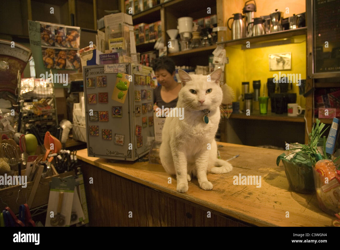 Cat saluda a los clientes en la hoja y Bean Café y tés especiales en Park Slope Brooklyn, NY. Foto de stock