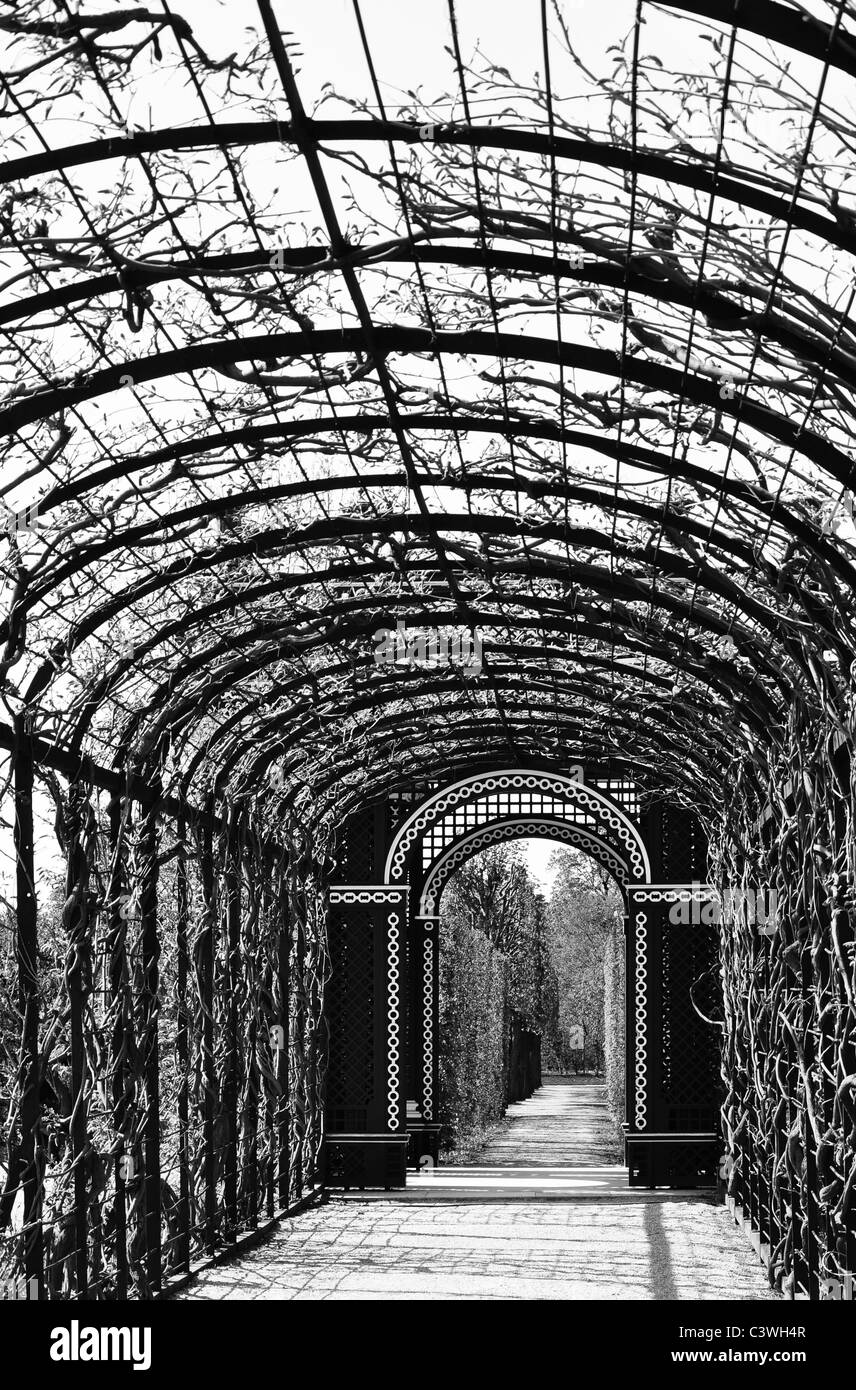 servidor sacudir Enfermedad Arcade solitario caminar en un hermoso jardín, en blanco y negro Fotografía  de stock - Alamy