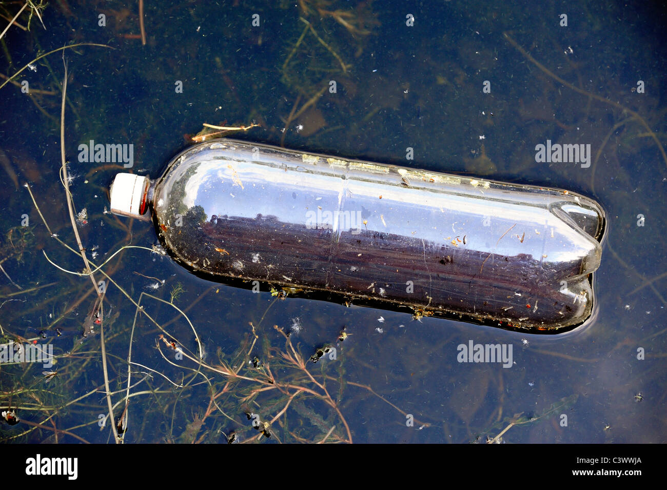 La contaminación del lago Inglaterra Foto de stock