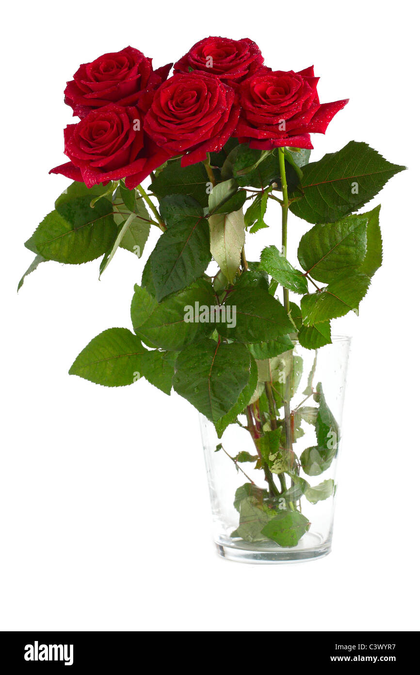 Precioso ramo de rosas color rojo brillante sobre un fondo de luz Foto de stock