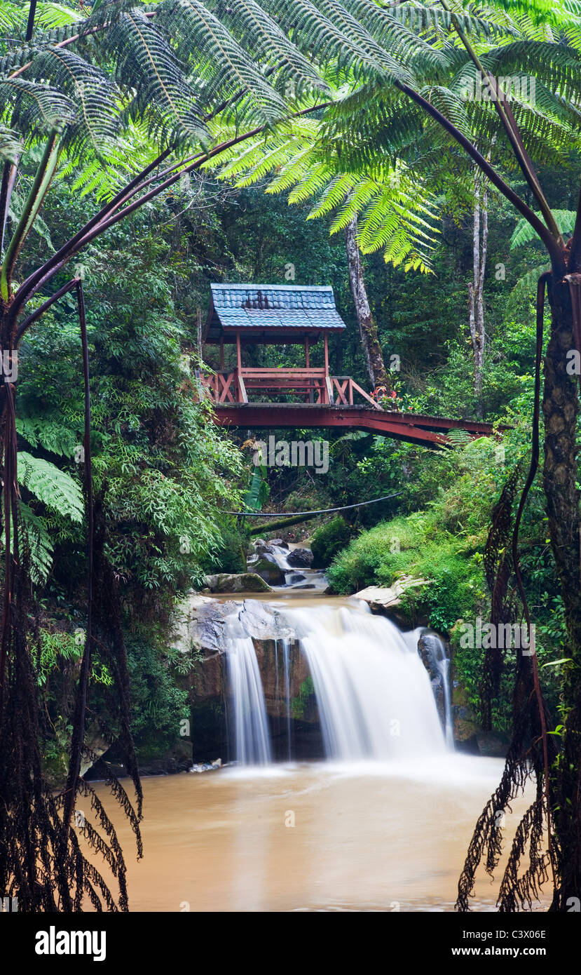 Parit Falls, Cameron Highlands, Malasia Foto de stock