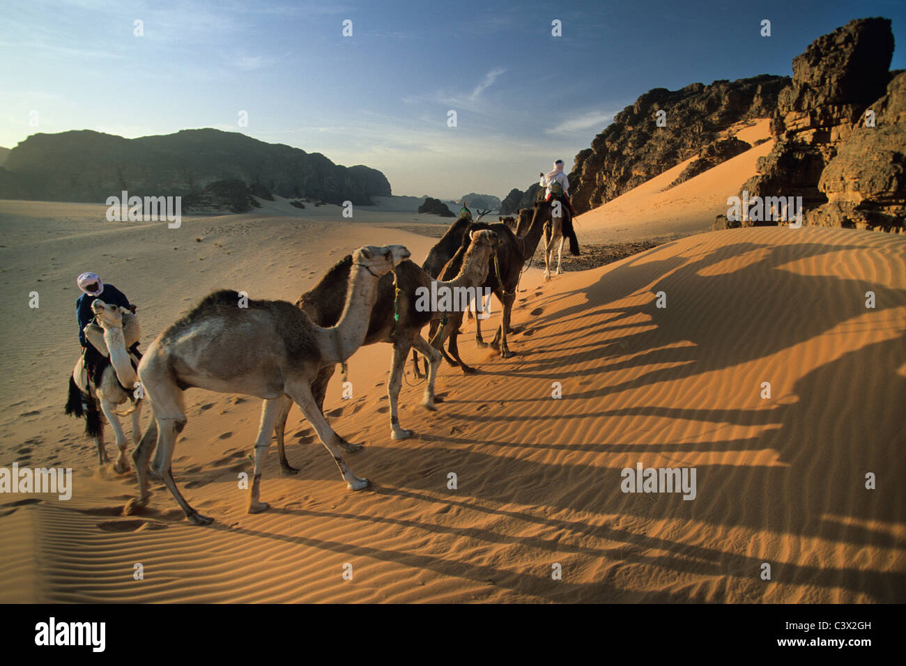 Tuareg fotografías e imágenes de alta resolución - Alamy