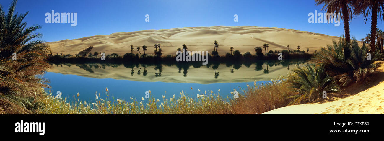 Libia, Ubari, el desierto del Sahara, oasis con palmeras y un lago. Um El Ma Salt Lake. Foto de stock