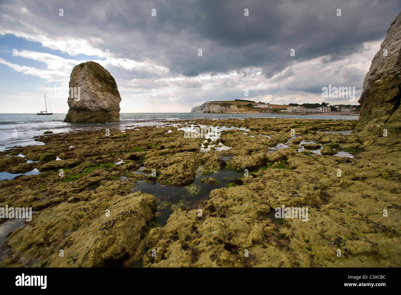 Plataforma Wave Cut, Fossil, Paleontología, Freshwater Bay, Isla de Wight, Inglaterra, Reino Unido, playa. Geología, Foto de stock