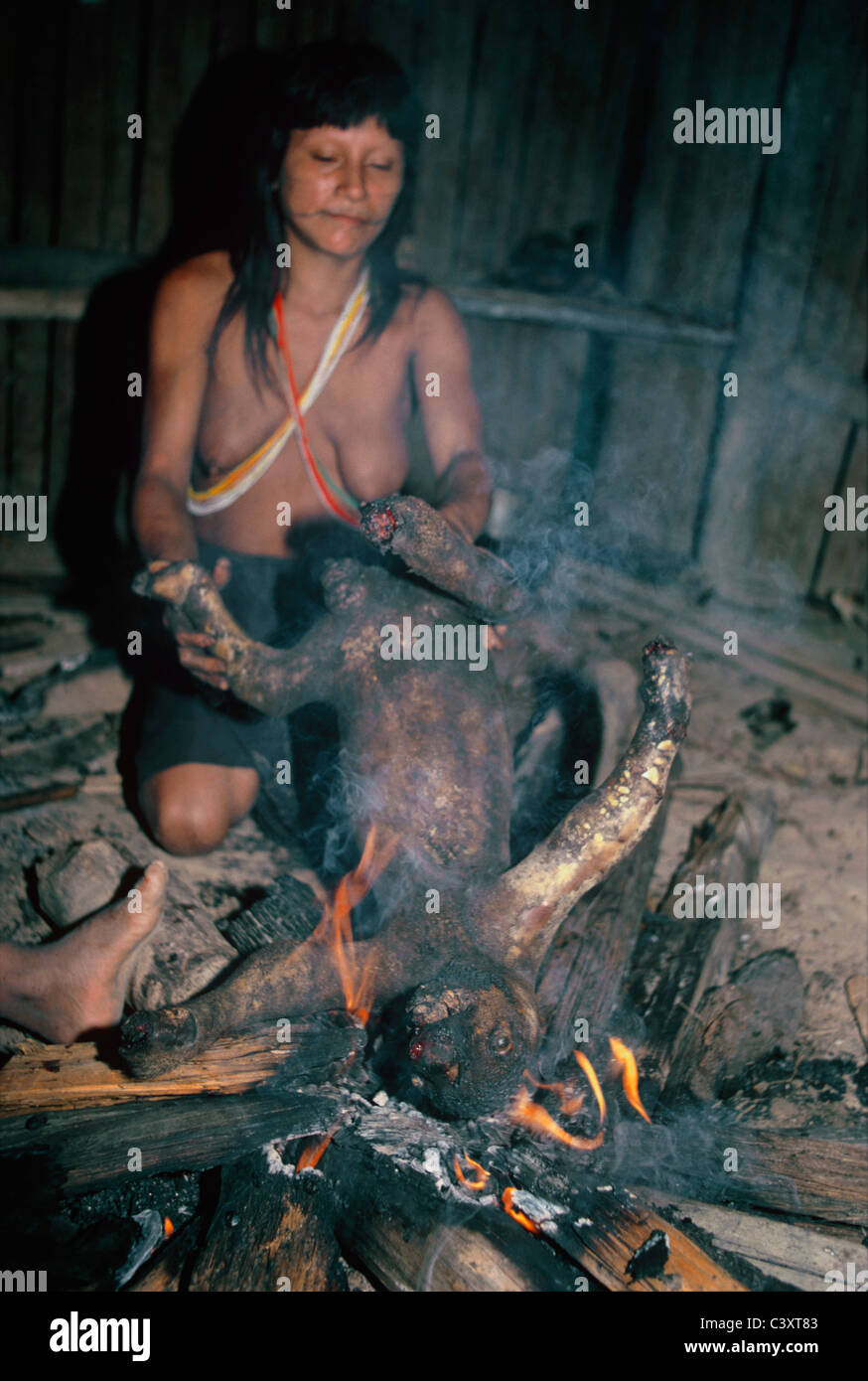 Una mujer india Matses quema el cabello fuera de la piel de un perezoso de dos dedos cada árbol capturado durante una cacería, antes de cocinarla para una comida. Foto de stock