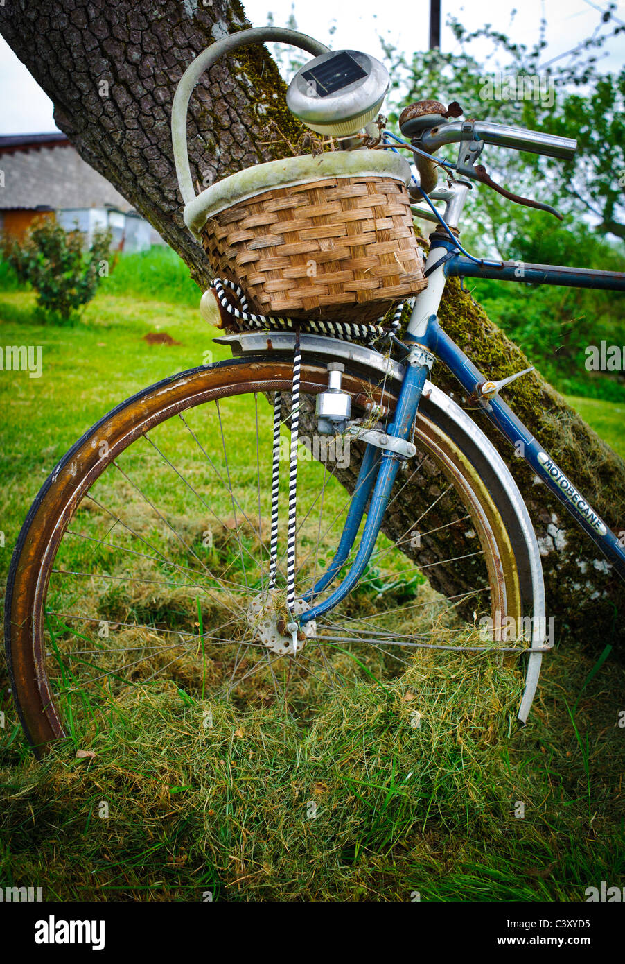 Bicicleta con canasta fotografías e imágenes alta resolución Alamy