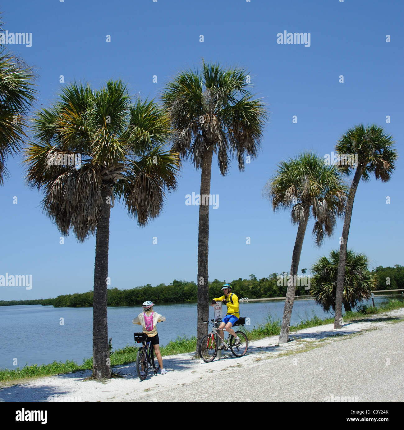 Los ciclistas en la JN 'Ding' Darling National Wildlife Refuge en Sanibel Island, Florida, EE.UU. Foto de stock