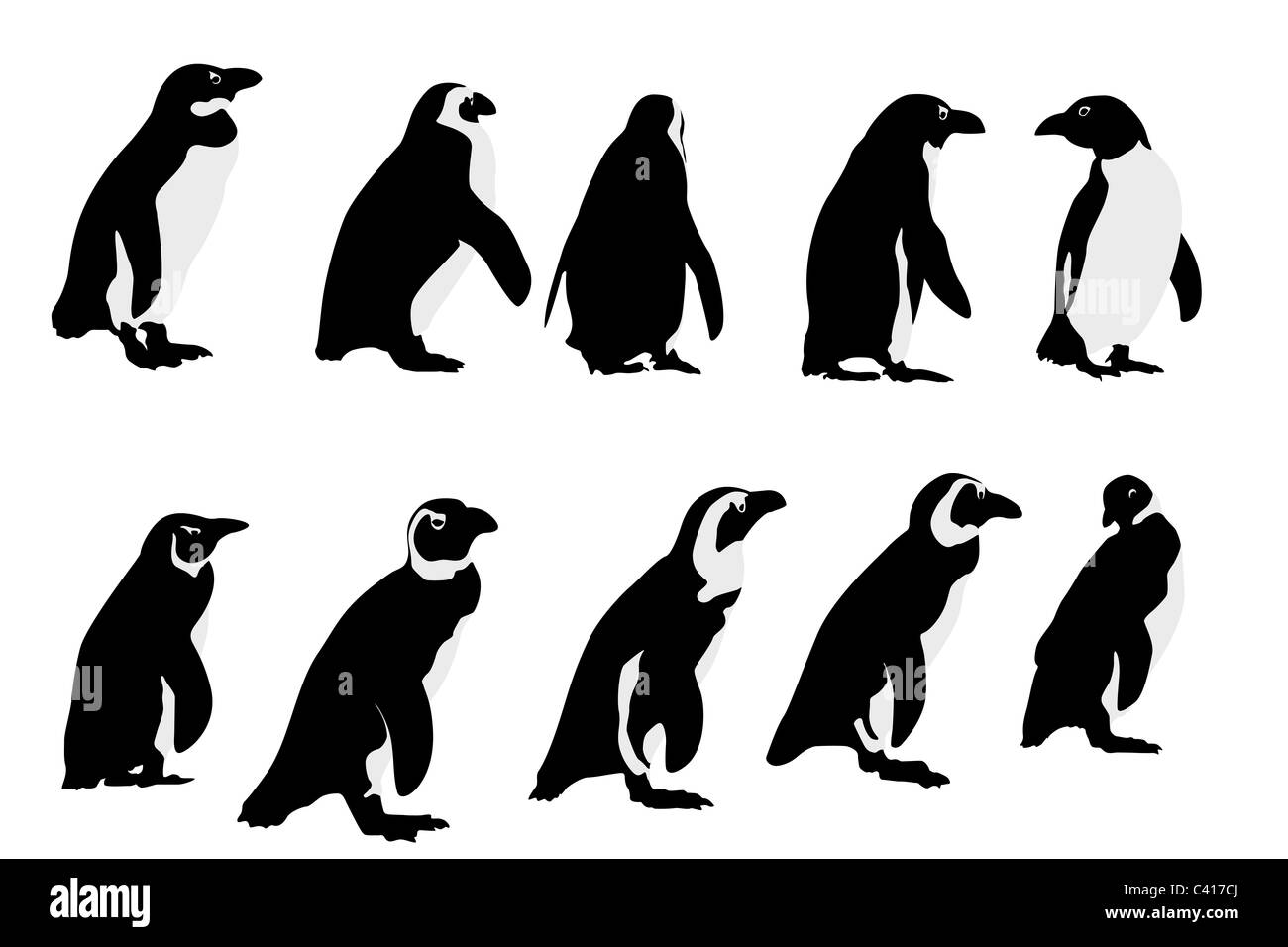 Pingüinos Foto de stock