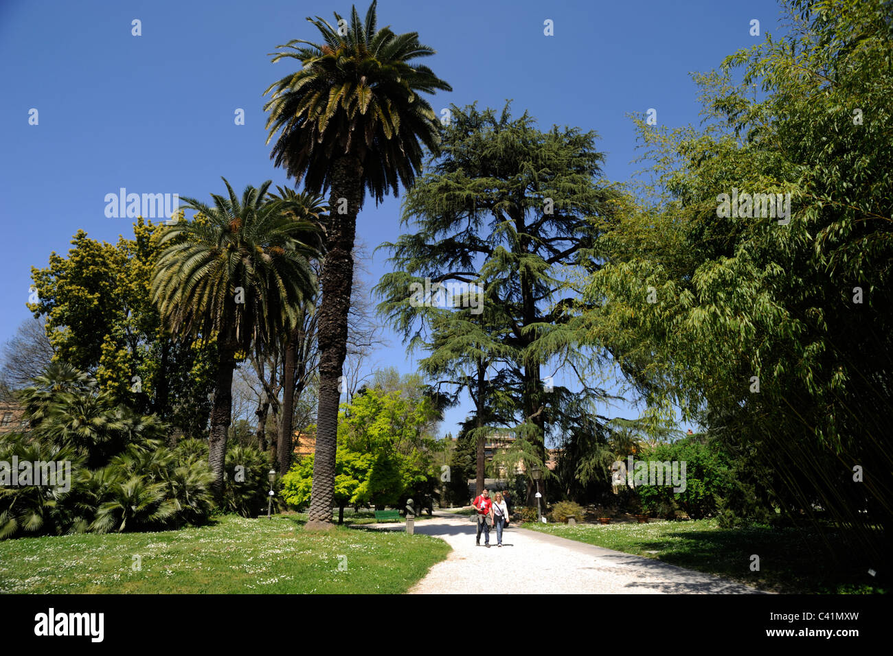 Italia, Roma, Trastevere, Orto Botanico, jardín botánico Foto de stock